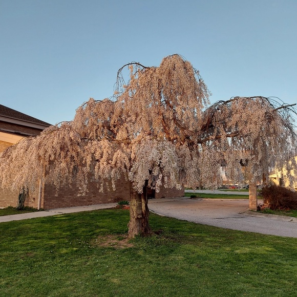 Meet your Posher, Gretz - Picture 1 of 1